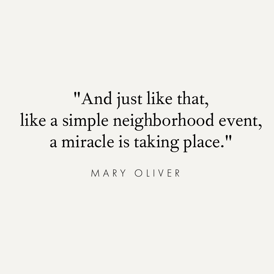 hanukkah quotes mary oliver