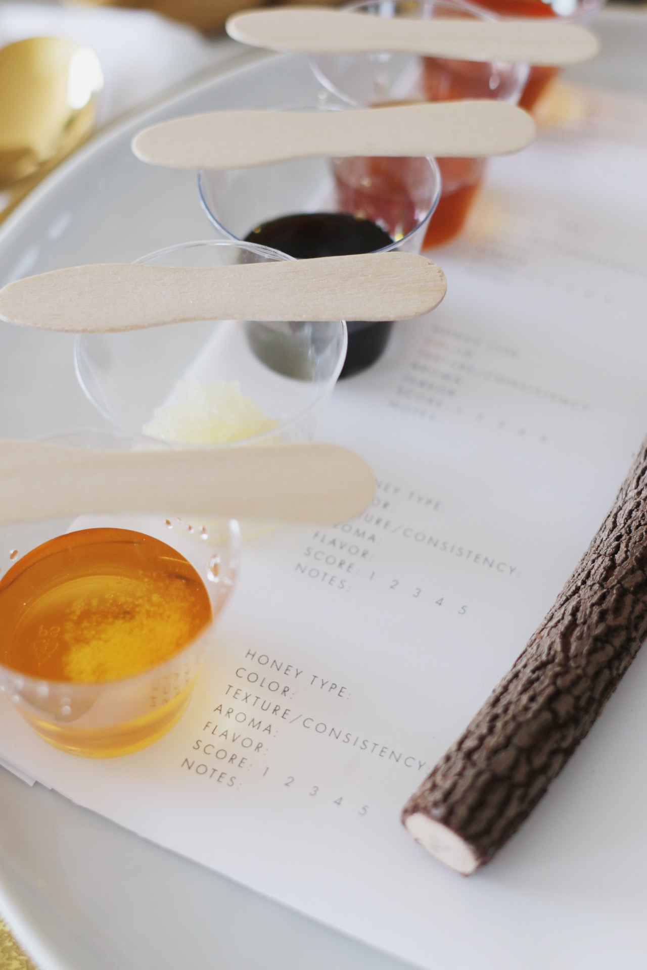 printable honey tasting worksheets for rosh hashanah